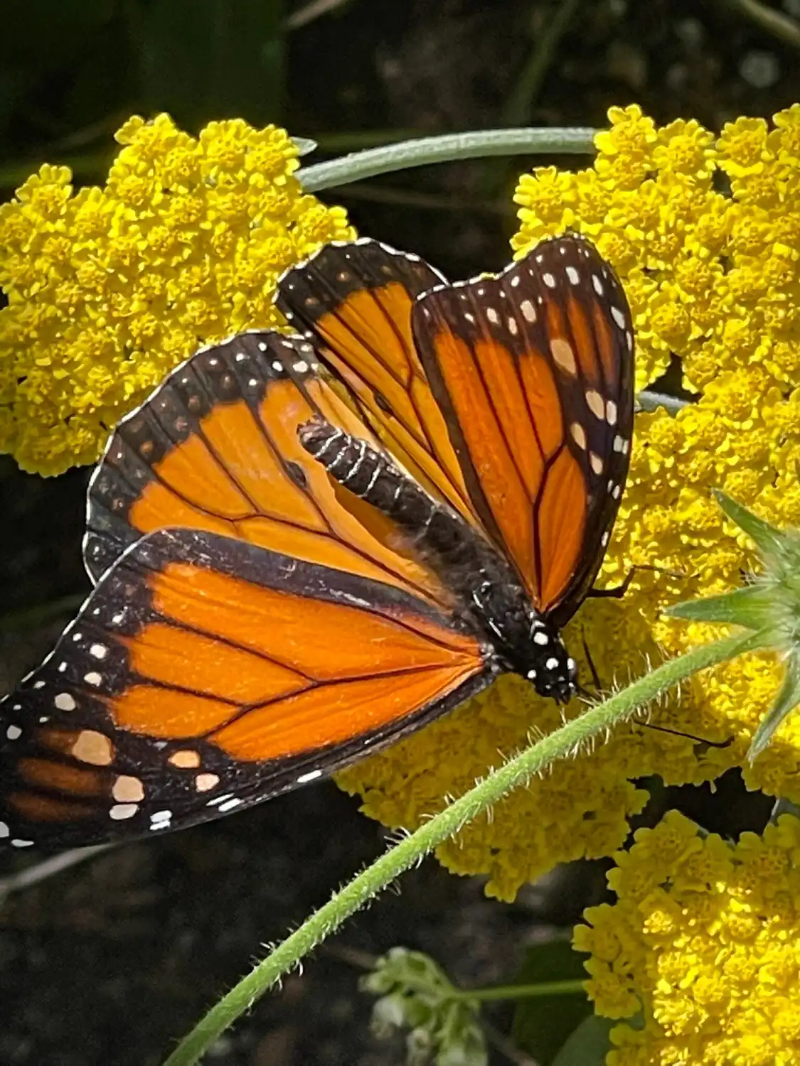 Hotels near Cape Cod Museum Of Natural History