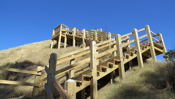 Pinson Mounds State Archaeological Park