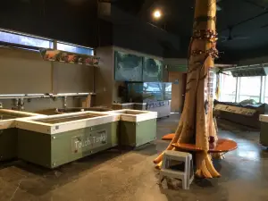 Feiro Marine Life Center