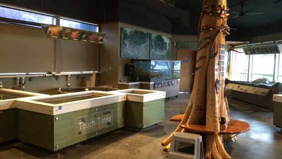 Feiro Marine Life Center