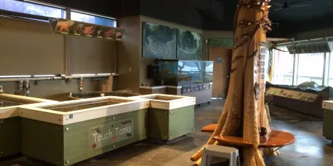 Arthur D. Feiro Marine Life Center