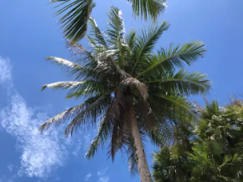 プラヤブランカ