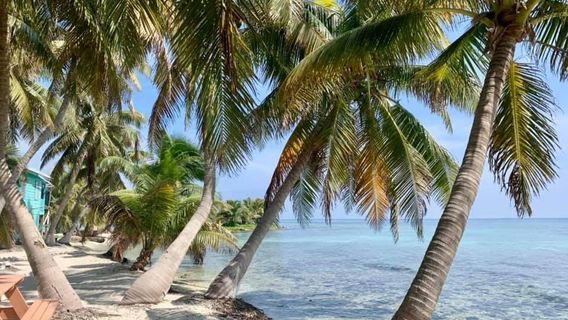 Placencia