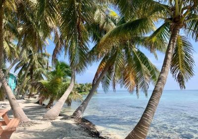 Placencia