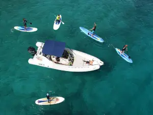 FuerteCharter