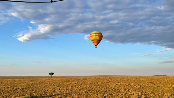 Hot Air Safaris