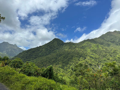 Tahiti Safari Expedition
