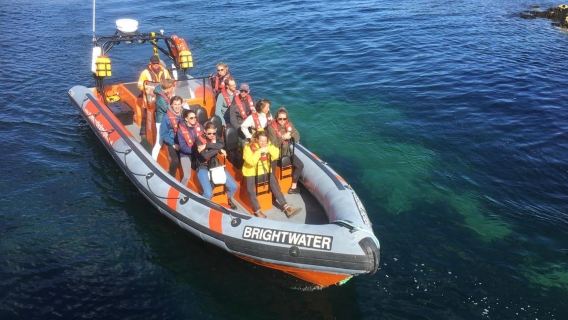Eyemouth Rib Trips