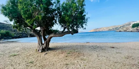 Fasolou Beach
