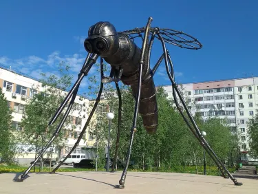 Usinsk