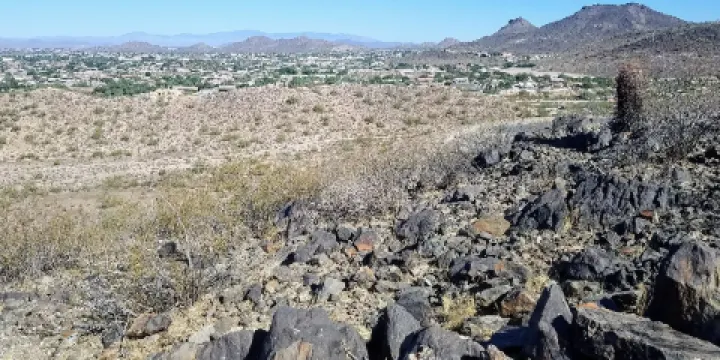 Thunderbird Conservation Park