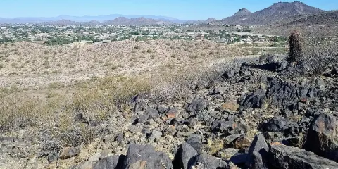 Thunderbird Conservation Park