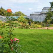 Природа / дикая природа