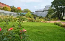 Ботанический сад Петра Великого