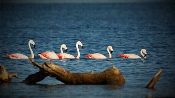 Museo Fotografico Miramar