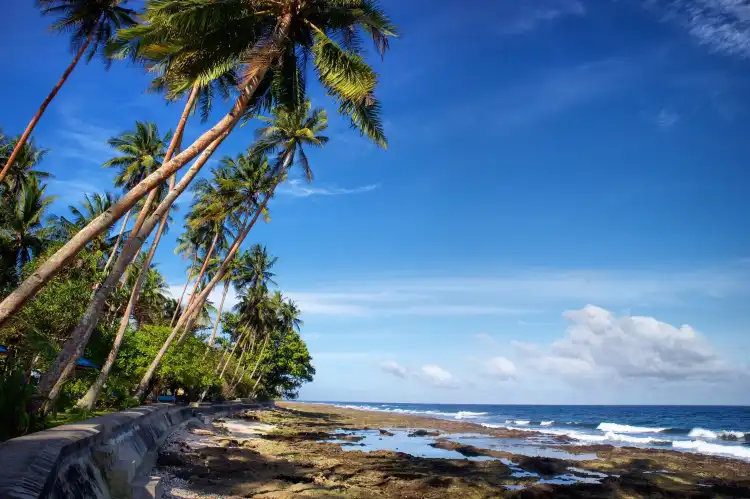Ambon