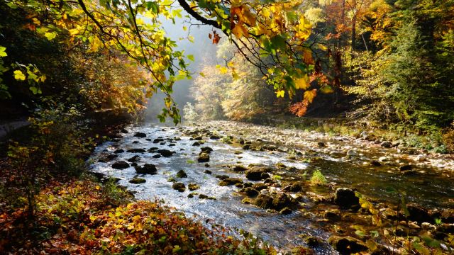Gorges de l'Areuse