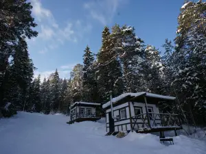 Пильная Парк