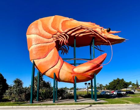 巴利那 自由行套票