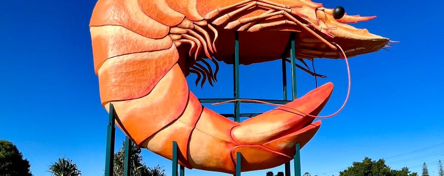Big Prawn