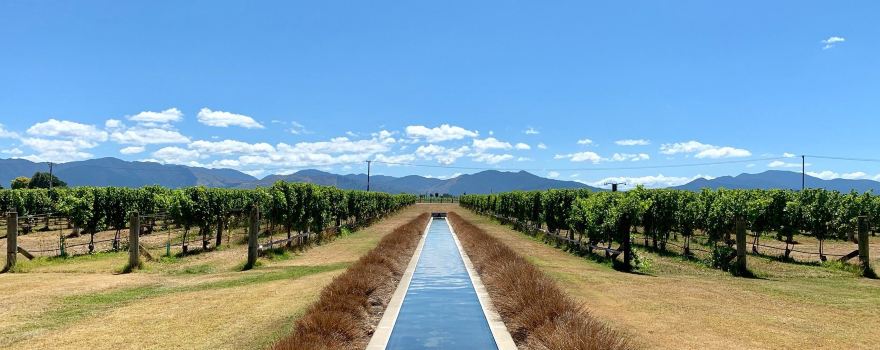 Villa Maria Estate Marlborough Cellar Door