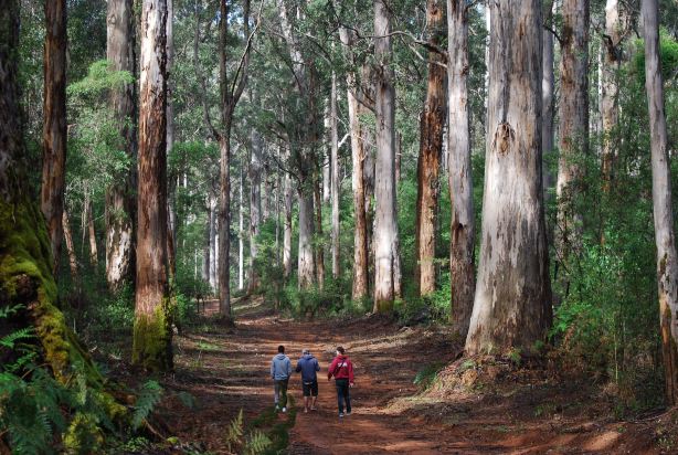 Warren National Park