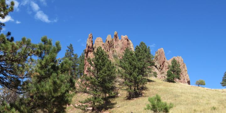 Settler's Park
