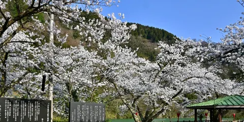 庄川水紀念公園