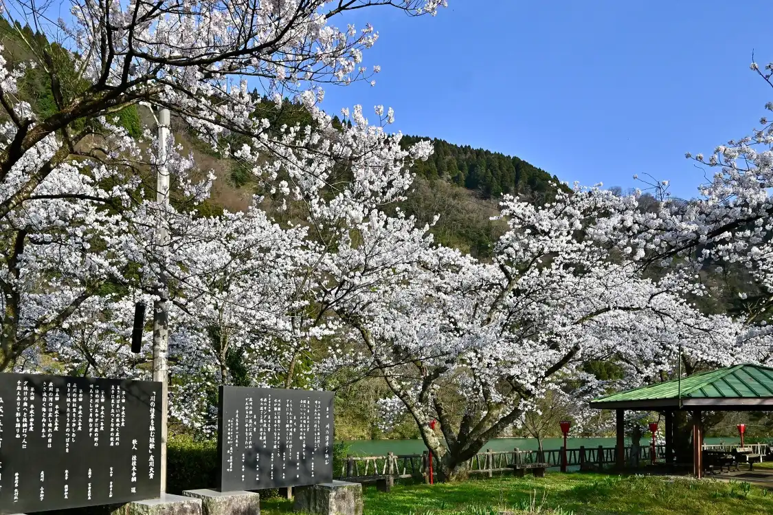 Hotel dekat Shogawa Water Memorial Park