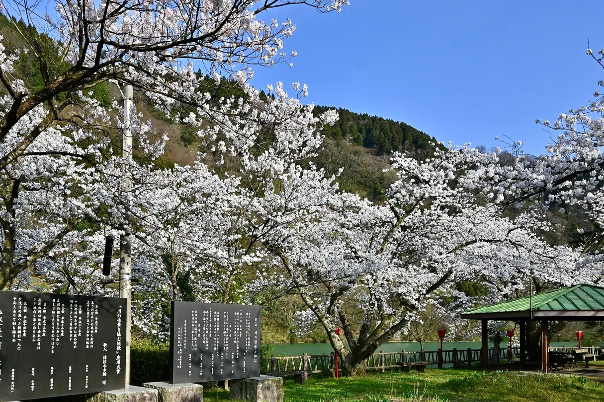 1_Shogawa Aqua Memorial Park