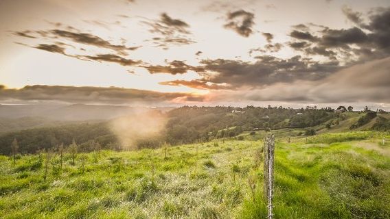 Maleny