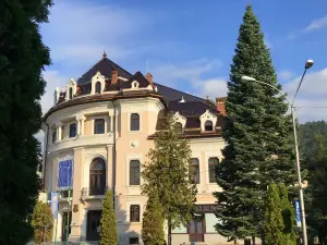 Teatrul Tineretului