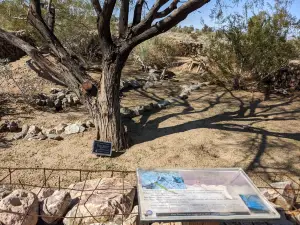 Estrella Mountain Regional Park