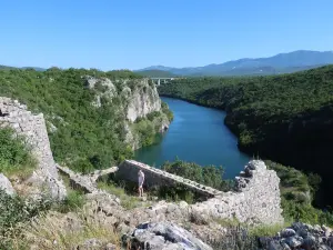 Nutjak