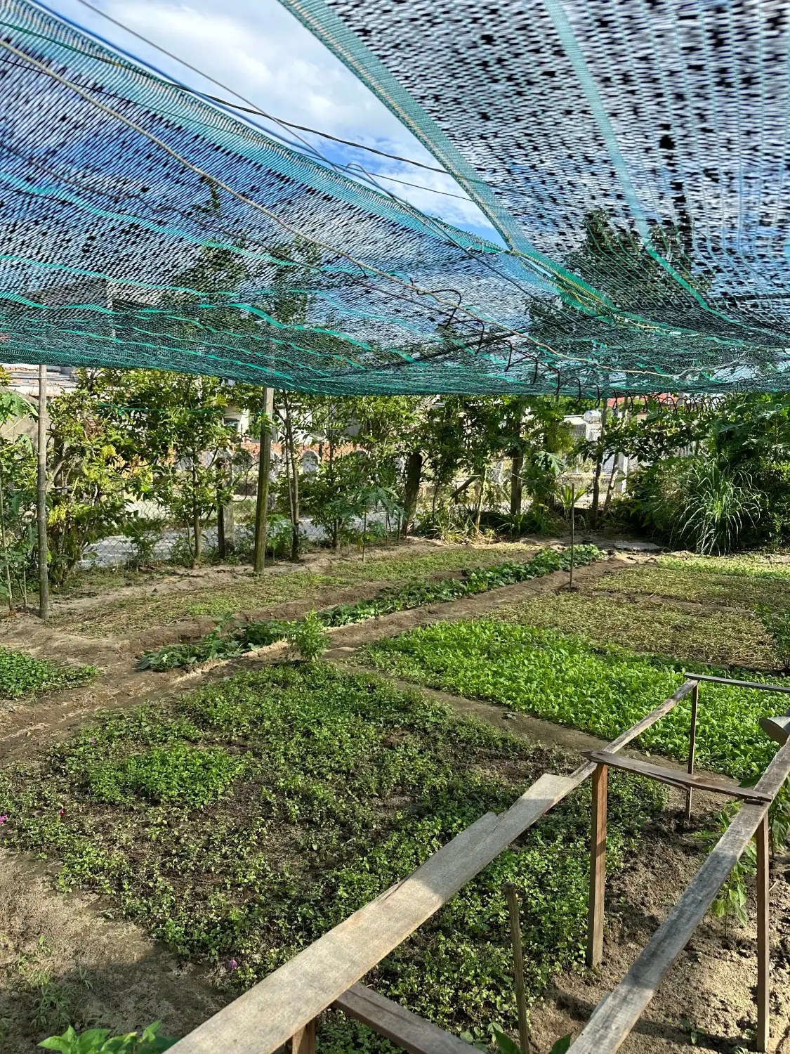 Hotel in zona Hoi An Impressive Farm
