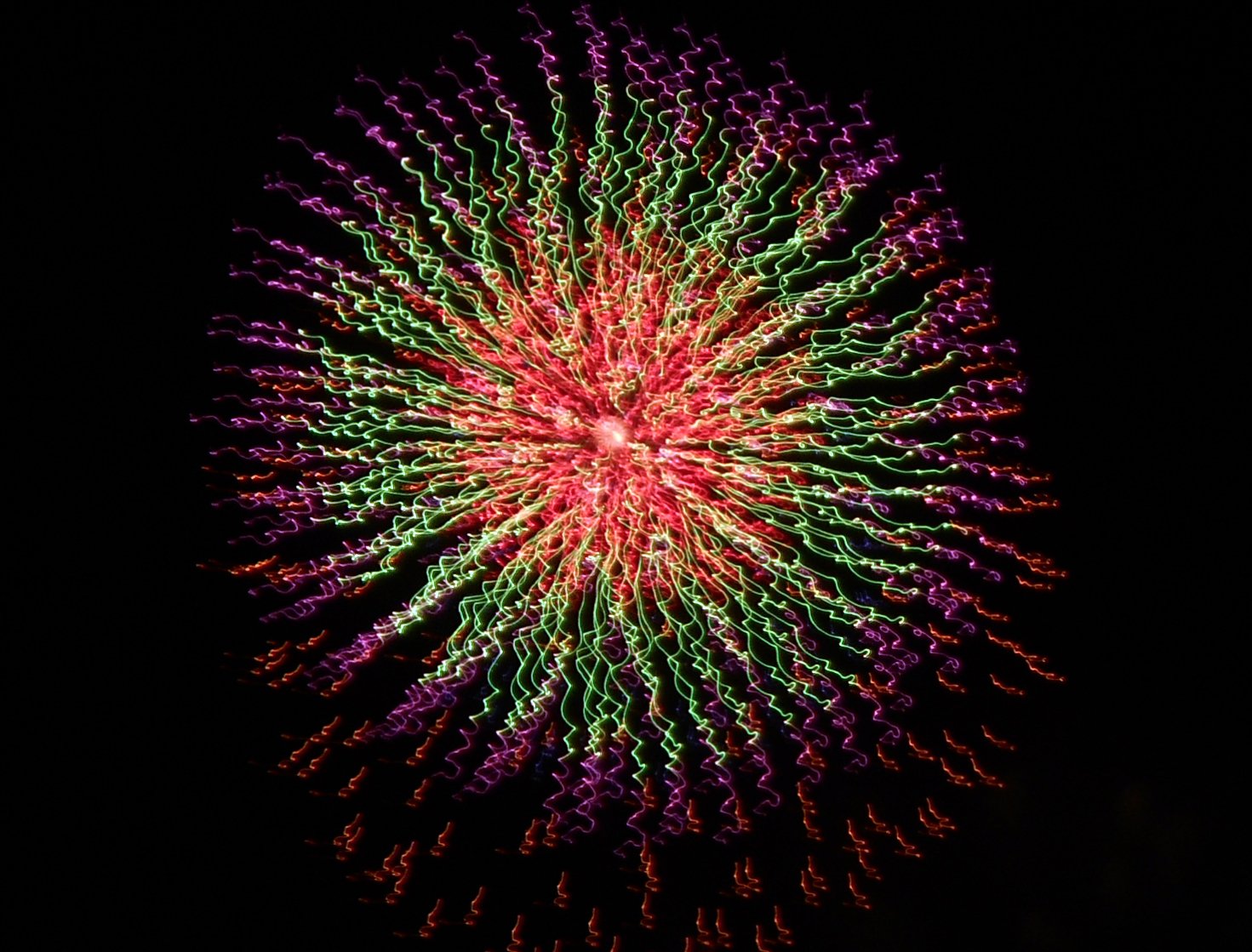 Kurume Water Festival | Kurume