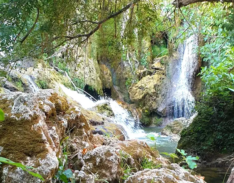 Hotels in San Nicolas del Puerto