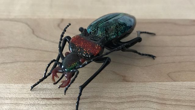 Vittorio Costantini Workshop