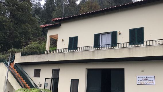 Fábrica de Requeijão Massa