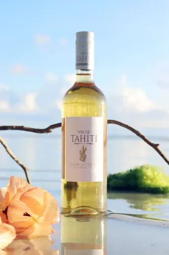Domaine Ampelidacees