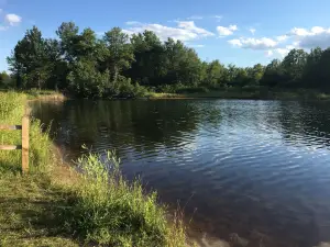 Wiregrass Lake Metropark