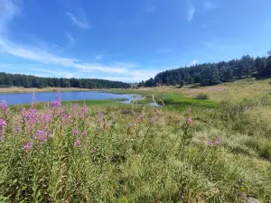Lac De Charpal