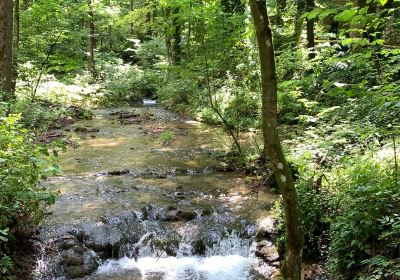 Szalajka Valley