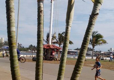 Plaza Banderas