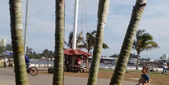 Hotels in Boca Del Rio