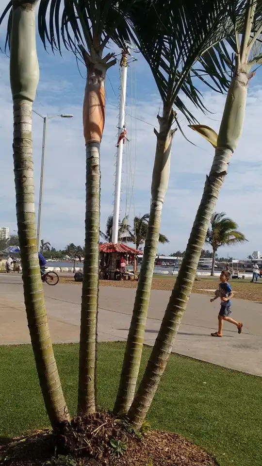 Hotels near Boulevard Boca del Río
