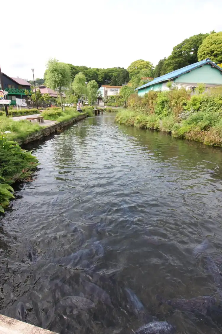 Hotels near Yusui Park