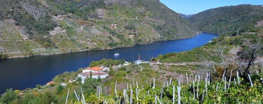 Bodega Ronsel do Sil