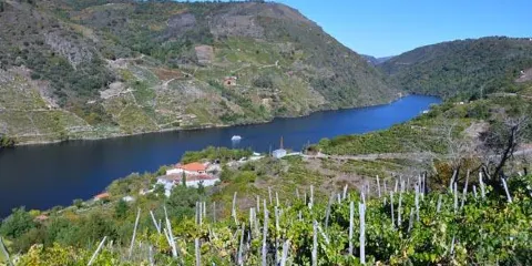 Bodega Ronsel do Sil