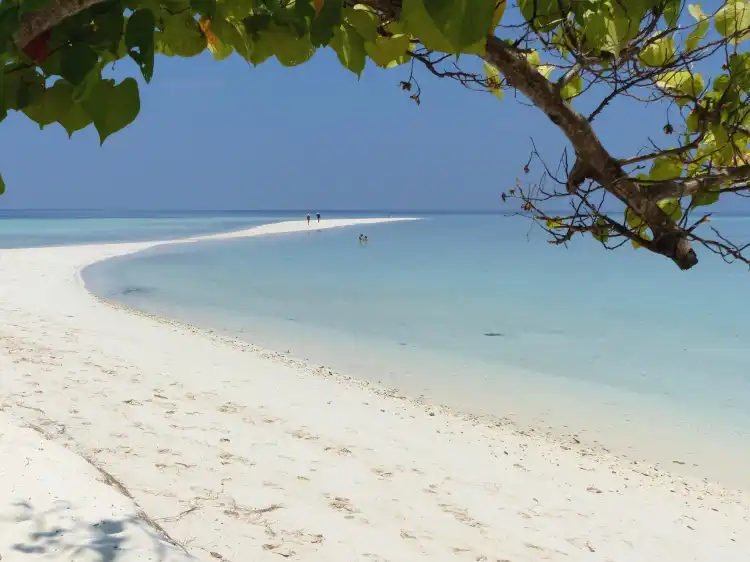 Thinadhoo 호텔
